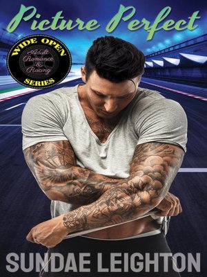 cover image of Picture Perfect
